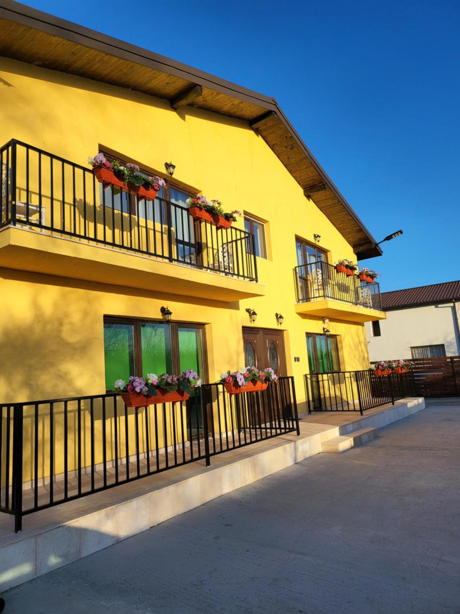 Casa Privata Airport Bucharest Therme Bucharest Balotesti Δωμάτιο φωτογραφία